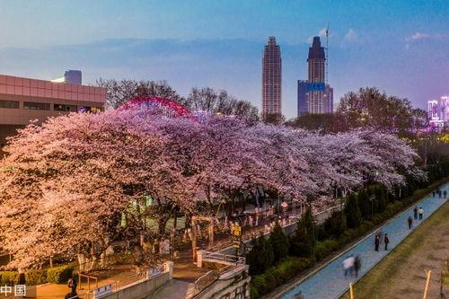 抖音爆料吃瓜观看在线 吃瓜爆料每日大赛最新动态,每日爆料，热点追踪，精彩不容错过！