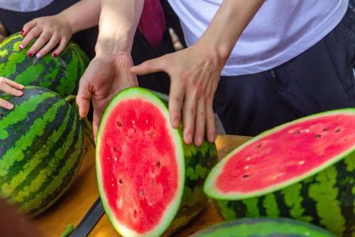 今日吃瓜在线观看