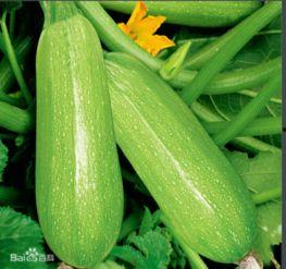 网红大瓜博雅吃瓜视频最全观看